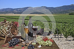 Wine bottle, glass of wine and grapes. white and red wine on an old wooden table, against a background of a vineyards vine