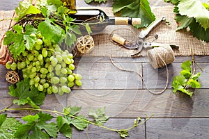 Wine bottle and grapes on wooden table. Top view with space for