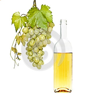 Wine bottle and grapevine