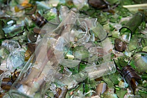 Wine bottle lying on a bed of broken glass having escaped the crusher at a recycling facility