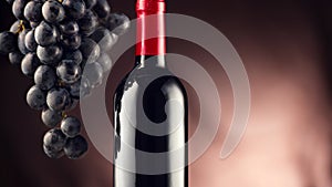 Wine. Bottle of red wine with ripe grapes