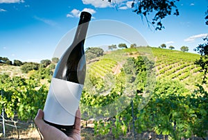 wine bottle with a vineyard in the background