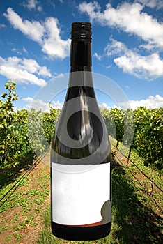 A Wine Bottle with a Vineyard Scene