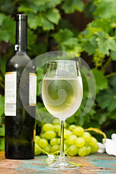 Wine bottle and wine glass with ice cold white wine, outdoor terrace, wine tasting in sunny day, green vineyard garden background.