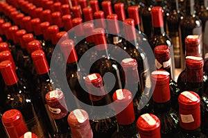 Bottiglie di vino 