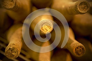 Wine bottles in an aging cellar
