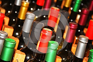 Wine Bottles boke, Winery