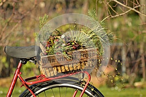 Wine bottles box filled with flowers stands on a bicycle rack with the German inscription `Wine gives happiness`