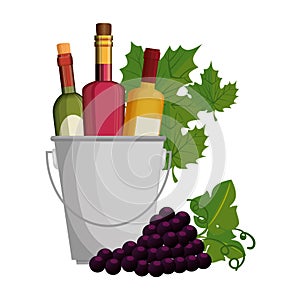 wine bottles in bucket with leafs and grapes