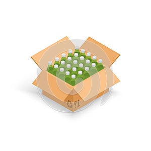 Wine bottles cardboard box vector illustration