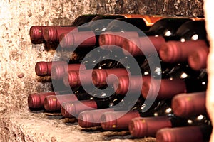 Wine bottles in cellar