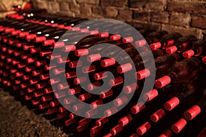 Wine bottles in cellar