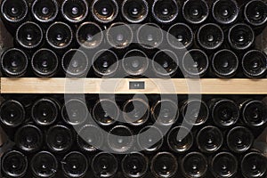 Wine bottles in Cellar