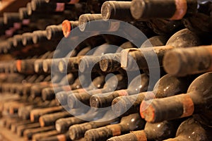 Wine bottles covered with dust and cobwebs are in wine cellar