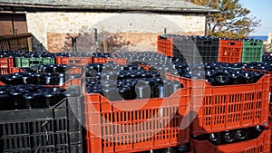 Wine bottles in crates