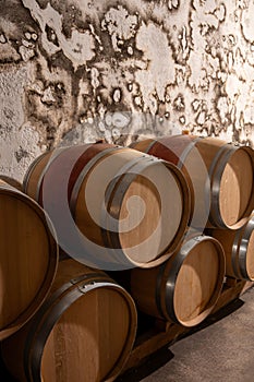 Wine bottles depository in underground cellar, Saint-Emilion wine making region picking, cru class Merlot or Cabernet Sauvignon