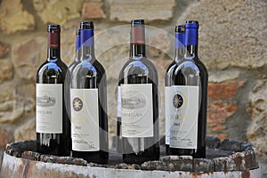 Sassicaia Wine Bolgheri Tuscany