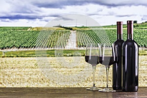 Wine bottles and glasses on the background of vineyards. Tasting red wine in the vineyard