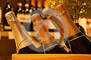 Wine bottles on a shelf in a supermarket