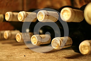 Wine Bottles in Wine Cellar