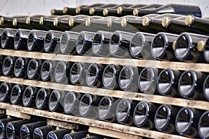 Wine Bottles in Wine Cellar