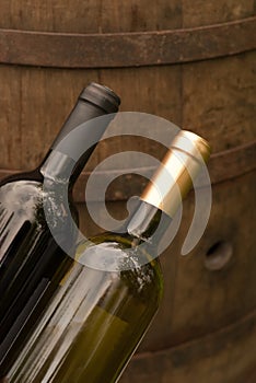 Wine bottles in the winery