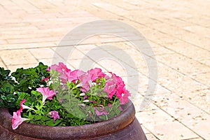 Wine bowl with flowers on the yard of the Cana Greek Orthodox Wedding Church in Cana of Galilee, Kfar Kana