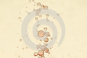 Wine bubbles