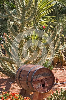 Wine cask.