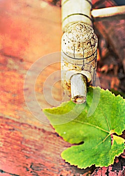 Wine cask and grapes leaf, retro colors