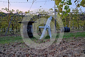 Wine Cask Table and Chairs