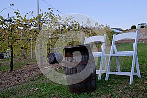 Wine Cask Table and Chairs