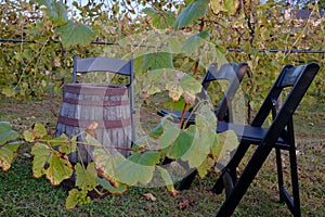 Wine Cask Table and Chairs