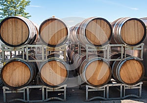 Wine Casks Stacked up and Waiting