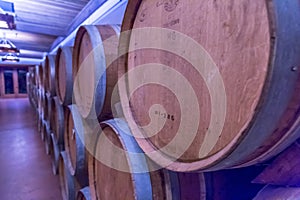 Wine Casks
