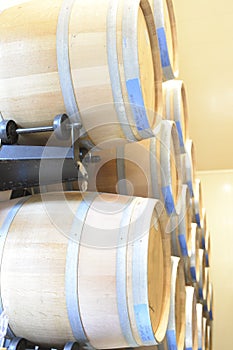 Wine casks at a Virginia winery