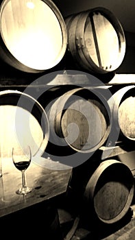 Wine casks with wine glass