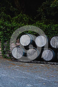 Wine casks at the winery. Stacked Wine barrels outside of wine cellar at the vineyard