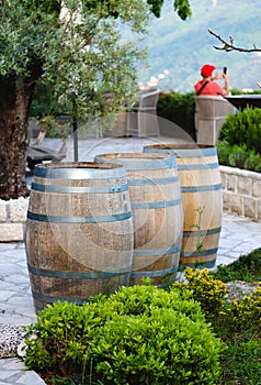 Wine casks at the winery. Wine barrels outside of wine cellar in the garden of a picturesque vineyard. Winery garden in details