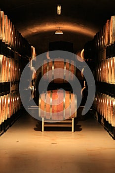 Wine cellar