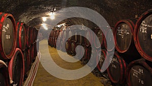 Wine-cellar