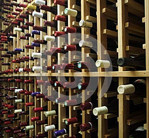 Wine Cellar photo