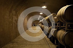 Wine Cellar photo