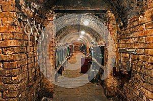 Wine Cellar