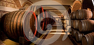 Wine cellar photo