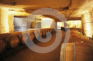 Wine cellar