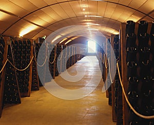 Wine cellar