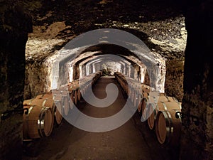 Wine Cellar