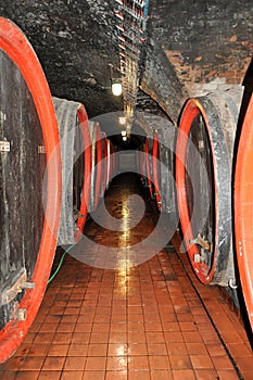 Wine cellar and barrel