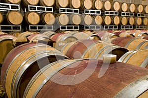 Wine cellar with barrique barrels